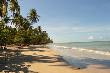 The perfect paradise beaches on island Ilha Boipeba in Brazil