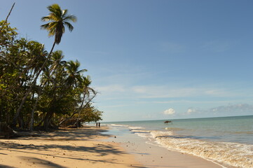 The perfect paradise beaches on island Ilha Boipeba in Brazil