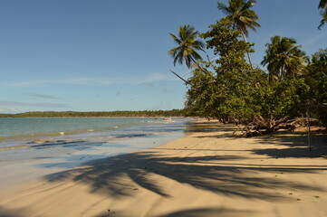 The perfect paradise beaches on island Ilha Boipeba in Brazil