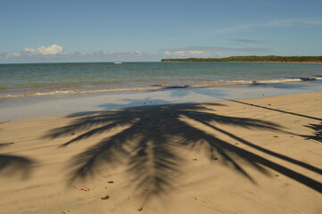 The perfect paradise beaches on island Ilha Boipeba in Brazil