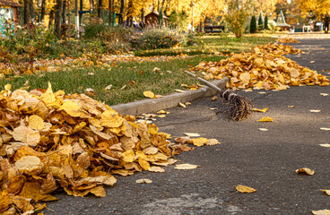 Fallen leaves with a broom on the asphalt in autumn