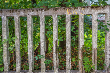 Old lattice concrete broken fence close up, in the background green leaves of trees, horizontal orientation