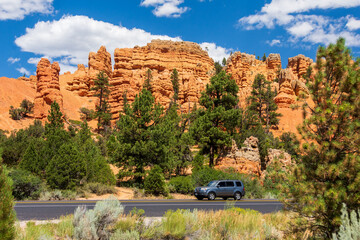 Red Canyon, UT, USA: grey car travels on a tarred road through red rock country. Pinnacles and hoodoos are visible in the background surrounded by pine trees.