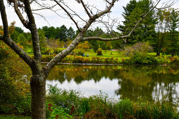 Garden Lake surrounded by trees and plants in the fall
