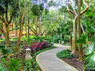 garden with palm trees