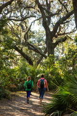 Fototapeta na wymiar Two women hikers walk througha Live Oak and spanish moss forest on Cumberland Island, Georgia, with Palmettos in forground.