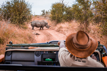 Safari guide in jeep pointing at Rhino in the wild