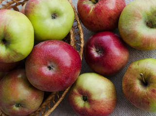 Autumn apples