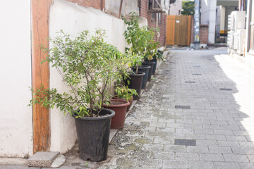 Fototapeta na wymiar narrow alleyways and streets of village in seoul, south korea.
