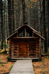 Autumn landscape and nature 