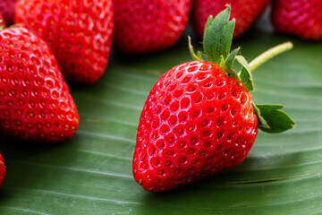 Fresh strawberry