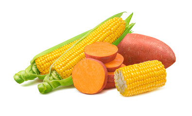 Corn cobs and sweet potato isolated on white background