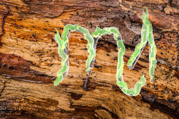 Astrological symbol of the horoscope scorpio on the background of a tree bark
