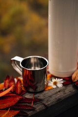 Vintage accessories for journey outdoors