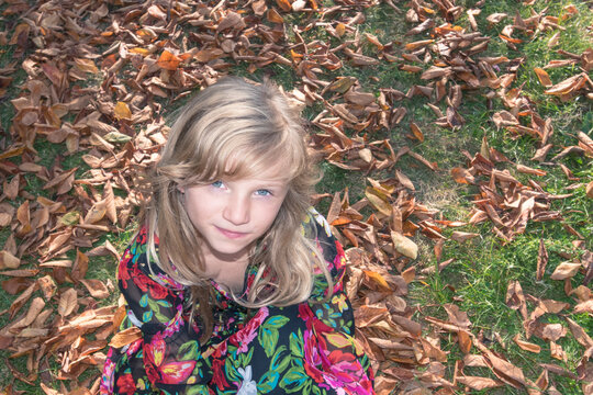 portrait of child in beautiful dress lying in colorful autumnal leaves