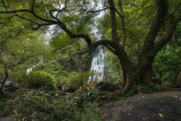Klong Lan waterfall beautiful in deep forest at Kamphaeng Phet Province, Thailand.