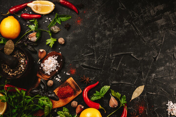  Different spices for cooking on a black background, free space for the text