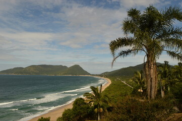 Fototapeta na wymiar The sand dunes and beaches on Santa Catarina Island (Florianopolis) in Brazil