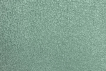 Texture of genuine leather close-up, delicate shade of salad green color, matte surface, trendy background