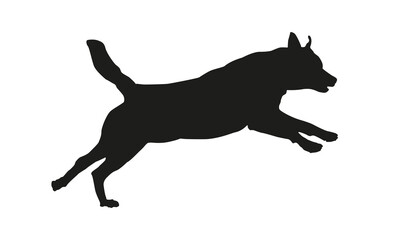 Black dog silhouette. Running rottweiler puppy. Isolated on a white background.
