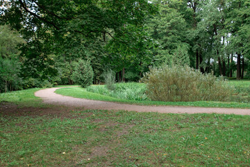 path in the city Park among the trees