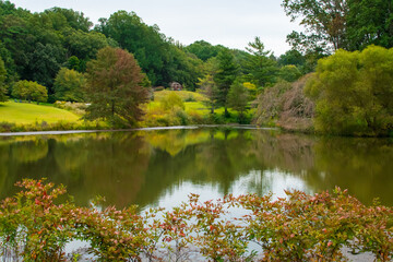 Fall trees, lake, plants, and grass.