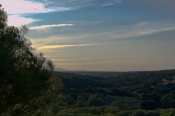 krajobraz niebo błękit drzewa widok