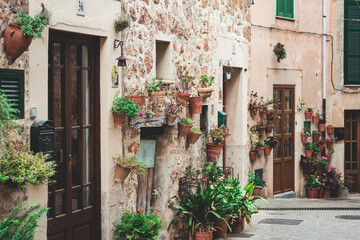 Fototapeta na wymiar Cobbled street of Valldemossa with plants and doors of houses 