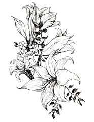 hand drawn flower black and white sketch