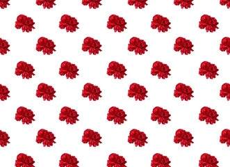 pattern of red carnations with stems on a white background