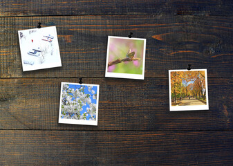 Fototapeta premium Photos of four seasons attached to dark wooden wall. Seasons on dark background