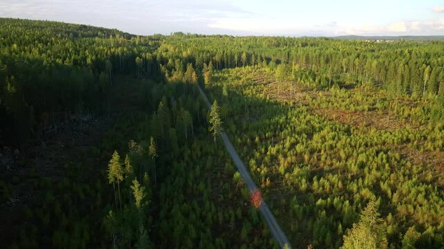 Drone footage showing a motor cyclist driving on an narrov gravel forest road. Orbiting drone shot where the motor cycle driving towards the camera, filmed in 4K.