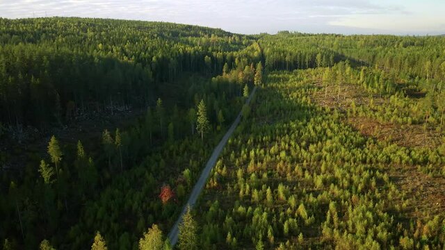 Drone footage showing a motor cyclist driving on an narrov gravel forest road. Orbiting drone shot where the motor cycle driving towards the camera, filmed in 4K.