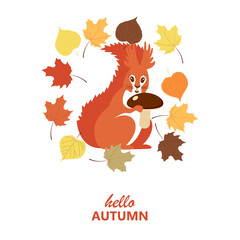 Cute cartoon squirrel on a background of autumn leaves. Hello Autumn concept. Flat vector illustration 

