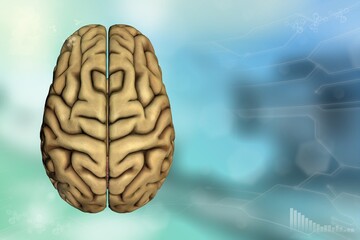 Human brain, memory analysis concept - very detailed modern background, medical 3D illustration