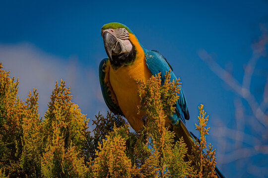 Animales zoo Aquarium Madrid