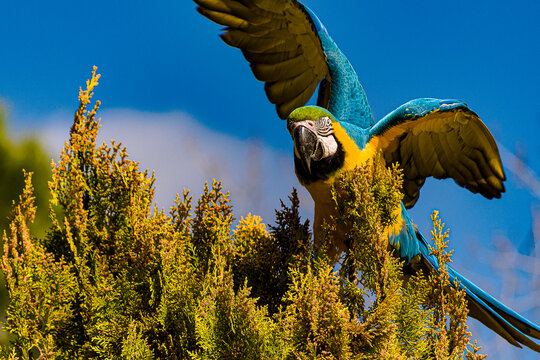 Animales zoo Aquarium Madrid