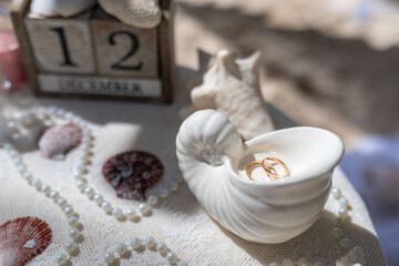 Close up view of wedding rings in the white ceramic shell on the table with wedding decor at the beach wedding ceremony, Punta Cana, Dominican Republic