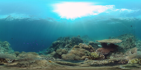 360VR Foto: Beautiful underwater world with coral reef and tropical fishes. Panglao, Philippines. Travel vacation concept