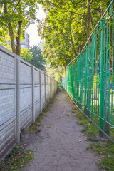 Narrow alley between two fences