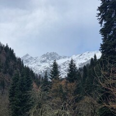 Obraz premium Mountain