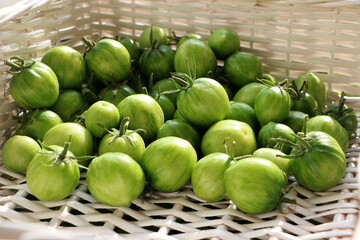 Unripe tomatoes. Green vegetables. High quality photo
