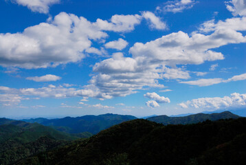 白い雲