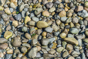 Smooth Shoreline Rocks Close-up