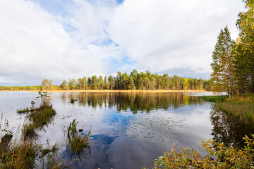 Fototapeta na wymiar Lake in the Arkhangelsk region, northern Russia. Cloudy autumn weather