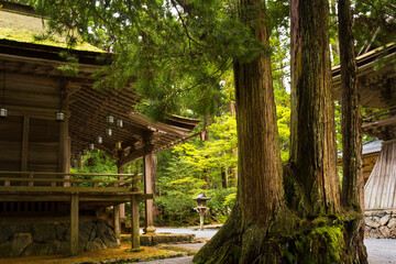 Koyasan, Wakayama, Japan