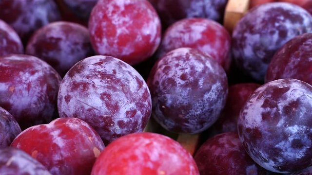fresh plums on the market