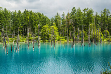 Blue Pond, Hokkaido