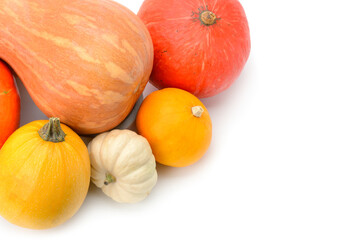 Autumn pumpkins isolated on a white. Free space for text.