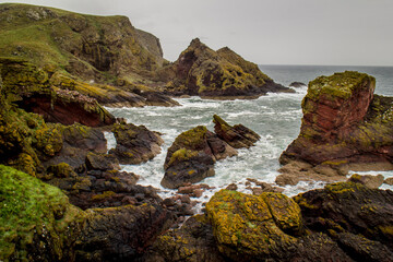 St Abb´s Head, Scotland